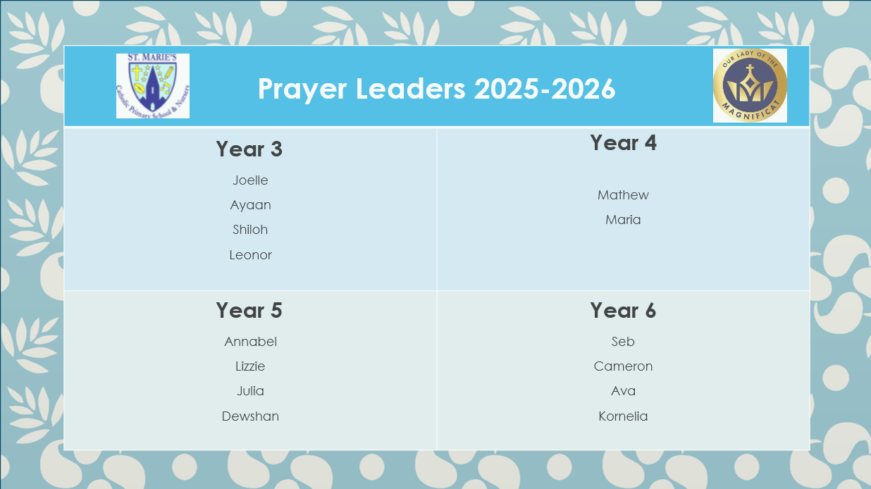 Screenshot 2025 12 12 214235