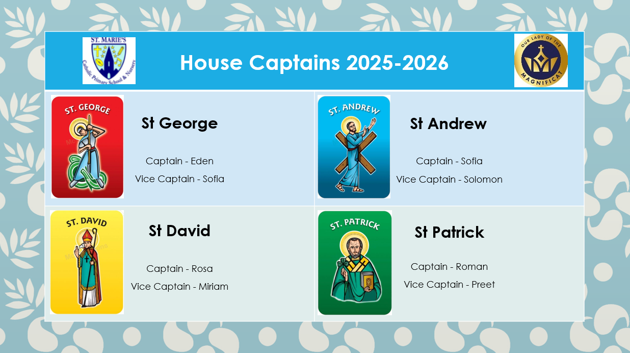 Screenshot 2025 12 12 214419